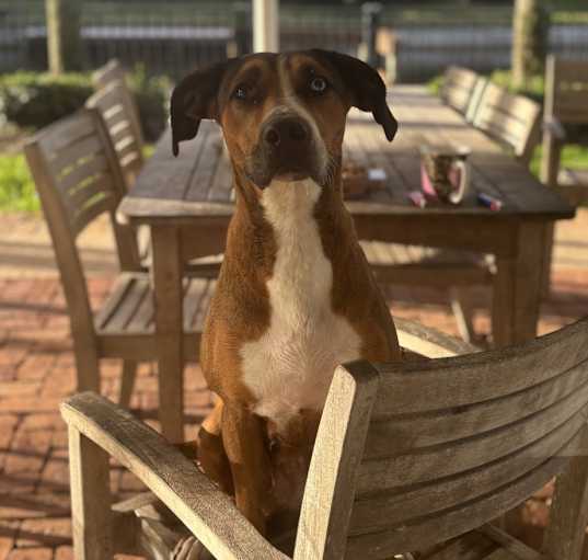 Photo of jr