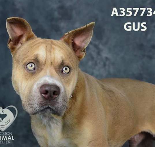 Photo of GUS