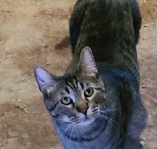 Photo of Stanley