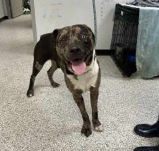 Photo of Tank