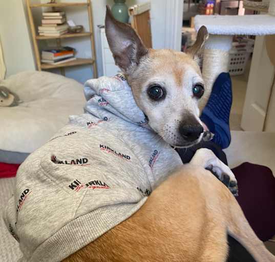 Photo of Mr. Marge 21298