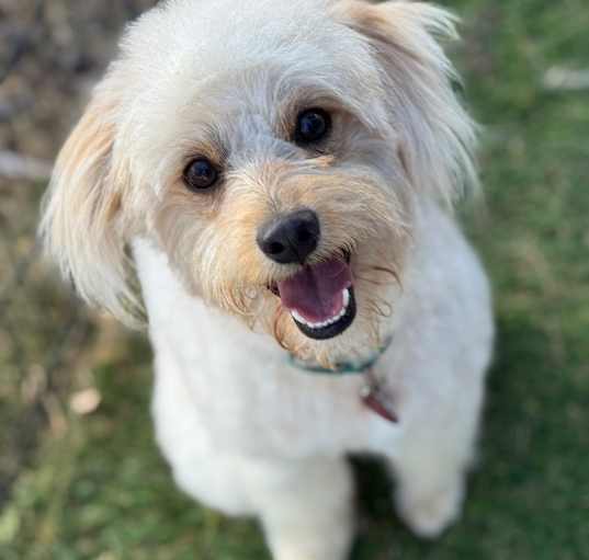 Photo of Kalvin 