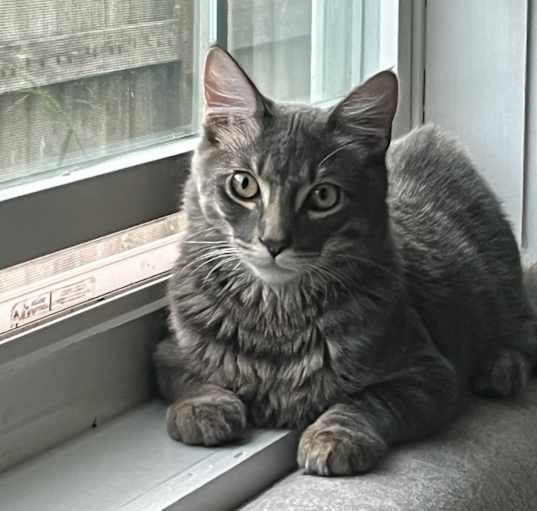 Photo of Cass