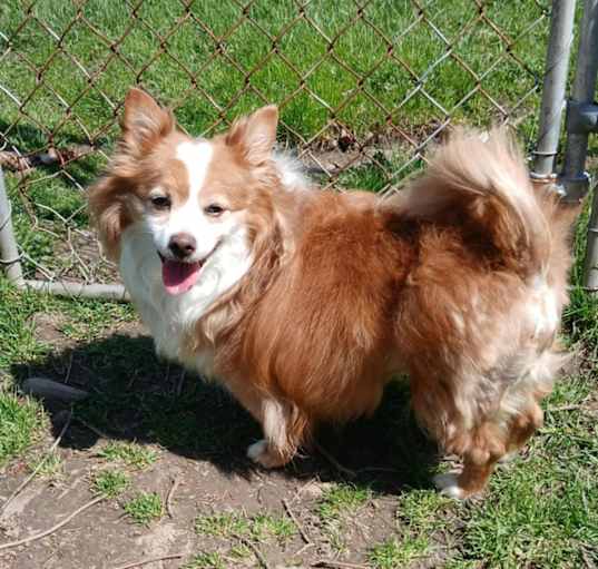 Photo of Cosmo