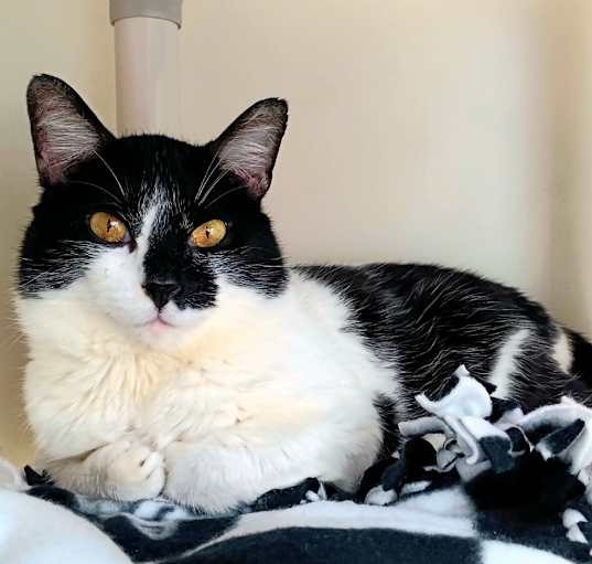 Photo of Tom