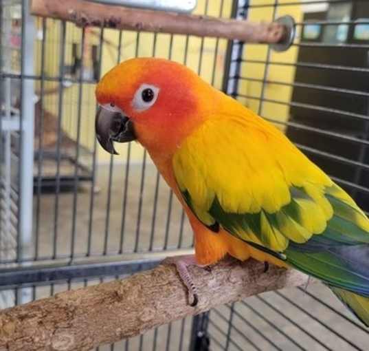 Photo of Marlo