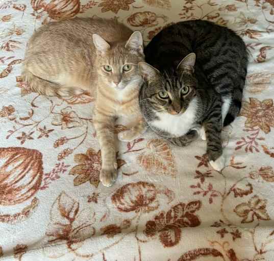 Photo of Watson & Gordon