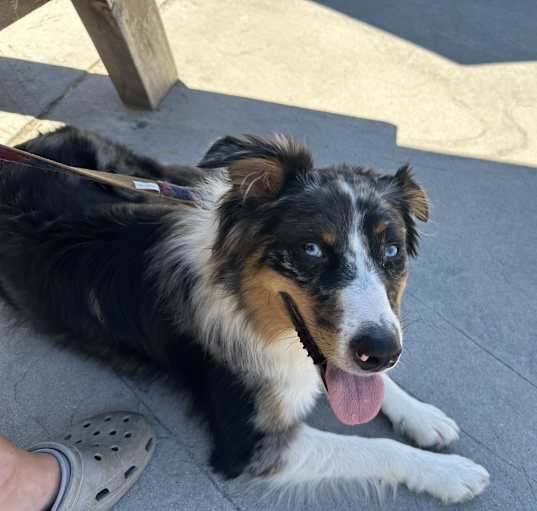 Photo of Oakley