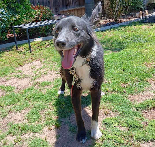 Photo of Logan