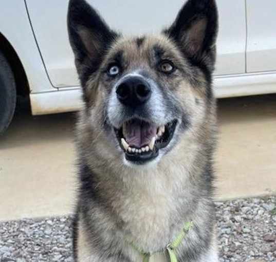 Photo of Josie