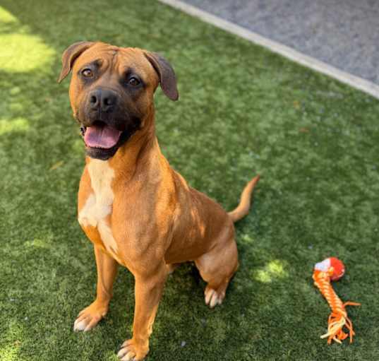 Photo of URGENT! SHELTER IS FULL