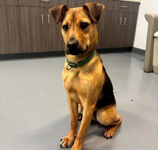 Photo of Reese-pending adoption
