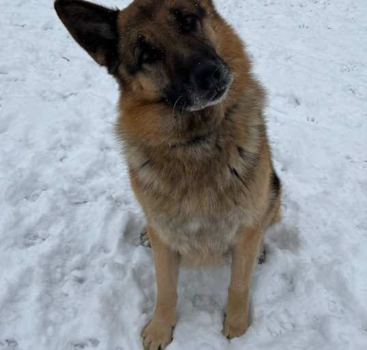 Photo of Charlie