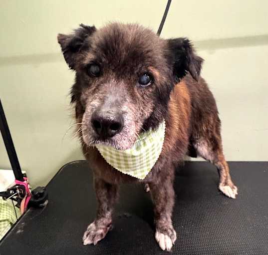Photo of Jordan-in foster home