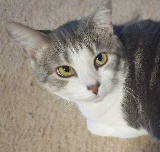 Photo of Eudora