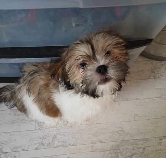 Photo of Baby boy