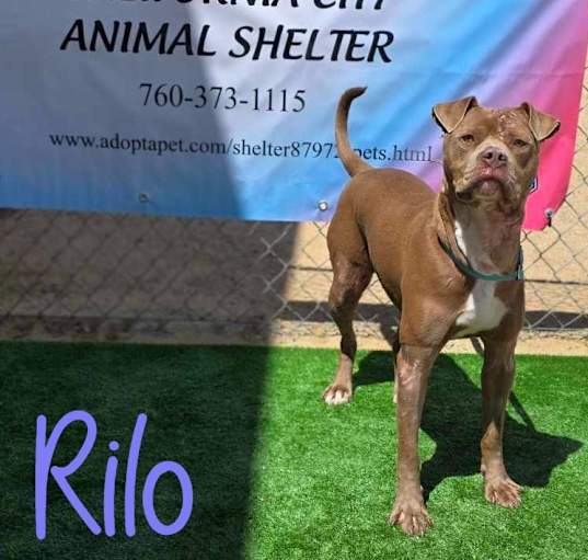 Photo of Rilo