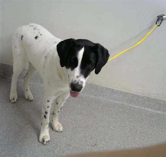 Photo of ROXY