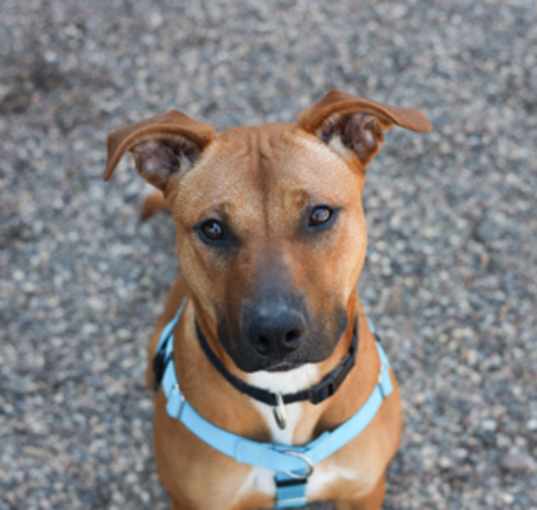 Photo of Maeve
