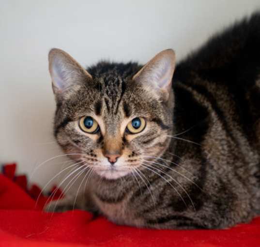 Photo of Rosita