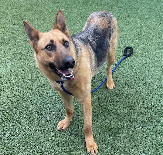 Photo of Lela A2178544