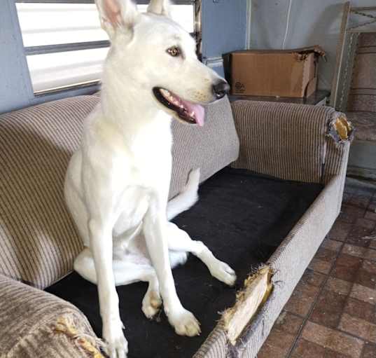 Photo of Maggie