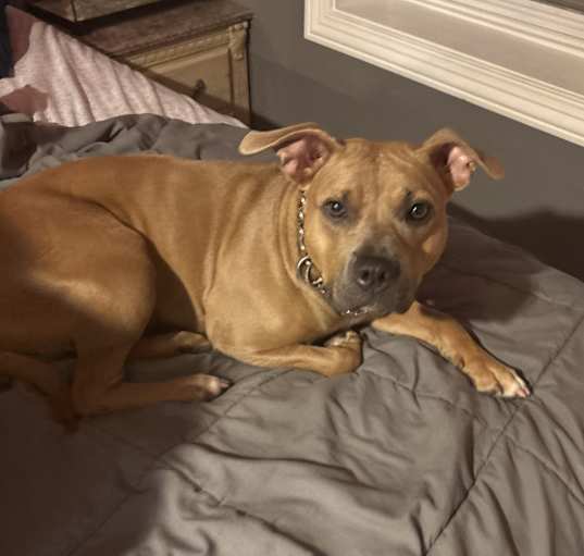 Photo of Roxy