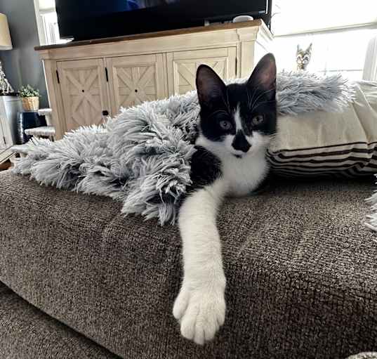 Photo of Henny