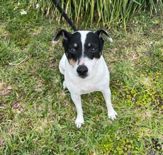 Photo of JACK