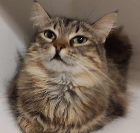 Photo of Yuzuki