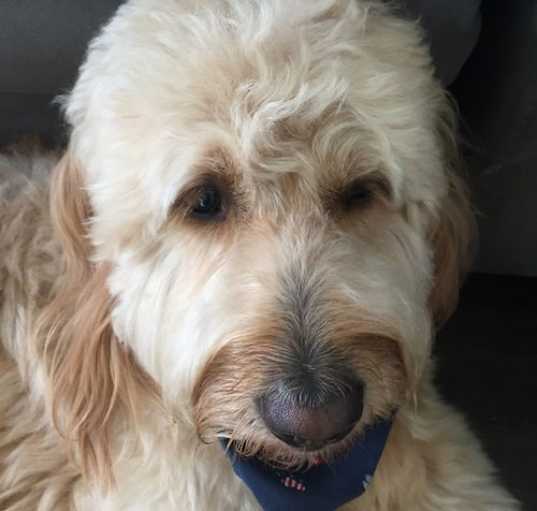 Photo of Maxey