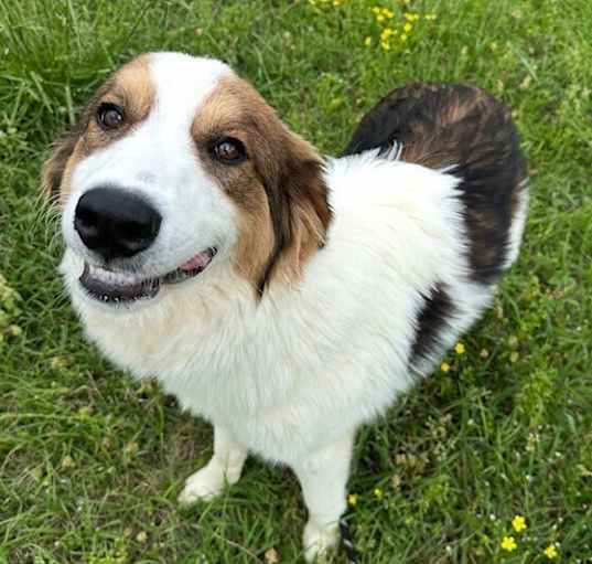 Photo of Jellybean