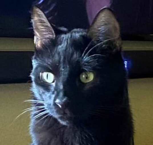 Photo of Stephanie's Coal