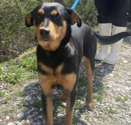 Photo of Minnie Marie