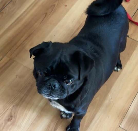 Photo of Bingo