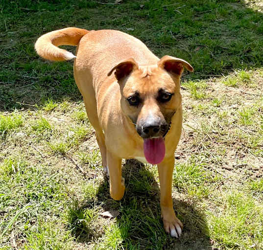 Photo of Cleo