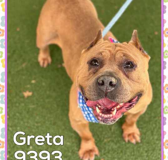 Photo of GRETA