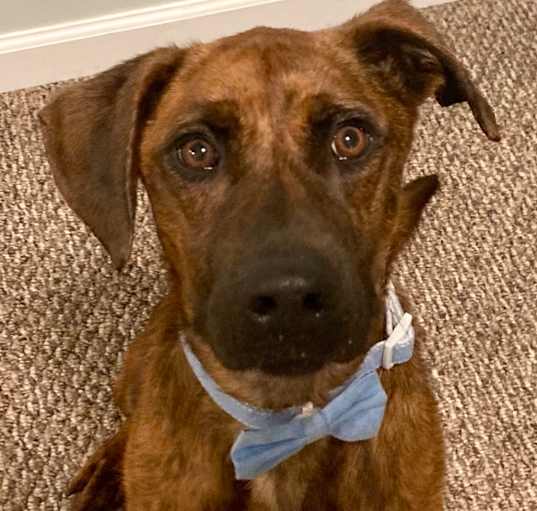 Photo of Jaxson