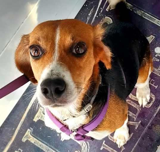 Photo of Lilly