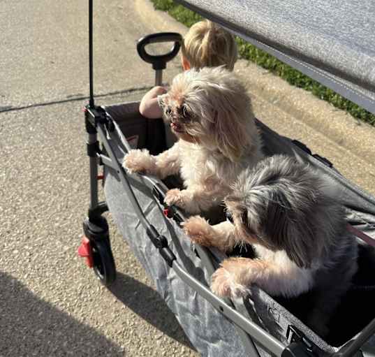 Photo of Mayzie & MacGregor
