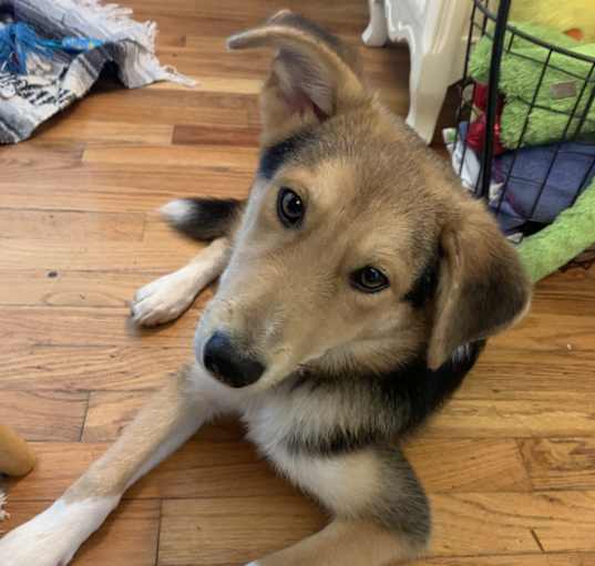 Photo of Kai