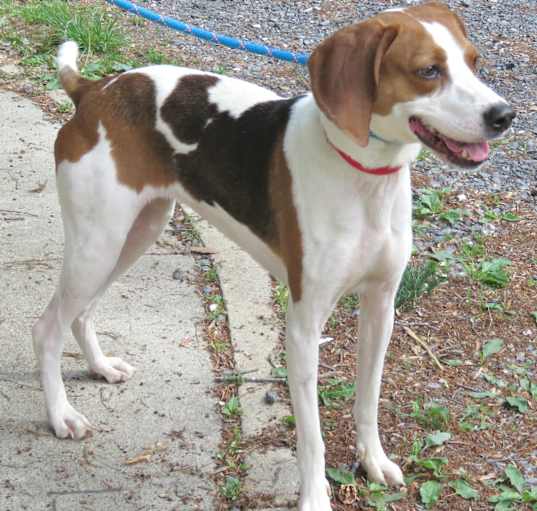 Photo of Susie