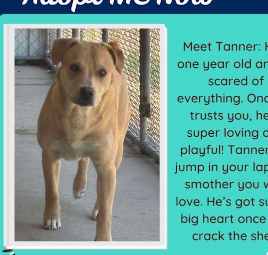 Photo of Tanner