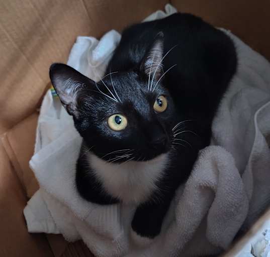 Photo of Tipa