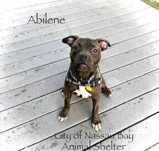 Photo of C22-25 Abilene