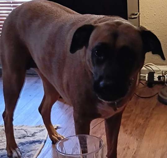 Photo of Lex
