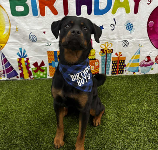 Photo of Ralphie