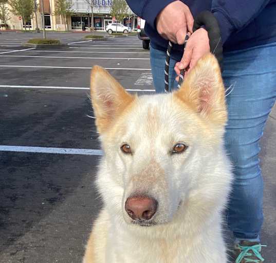 Photo of Dakota