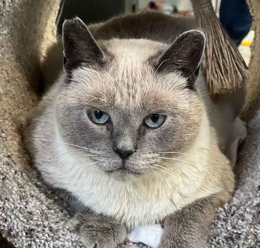 Photo of Button