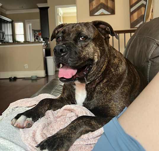 Photo of Kiki